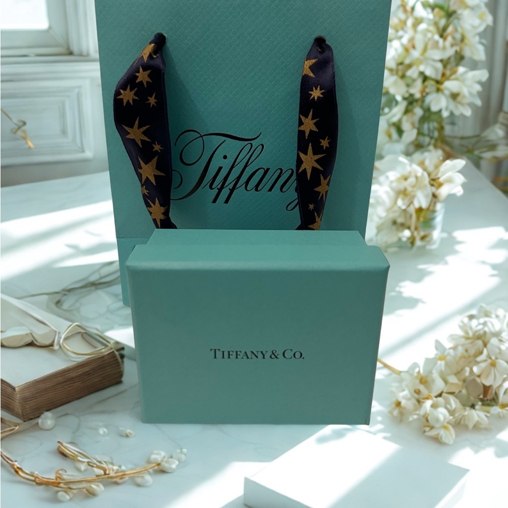 Tiffany & Co. Blue Bag with Starry Black Ribbon and Box Set